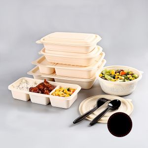 盒装食品午餐儿童防漏5隔间盒