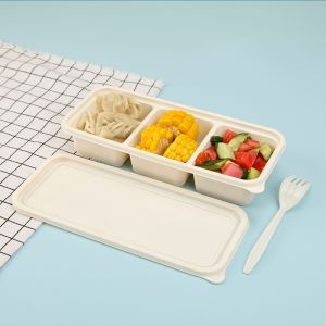 容器午餐盒设置绝缘盒饭沙拉包装透明食品柔