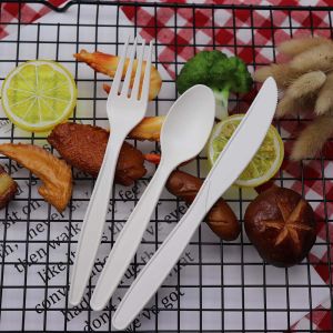 生态器皿生物可降解餐具套装一次性勺子叉刀套装