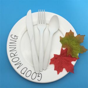 便宜的勺子叉子一次性套100%天然生物降解餐具