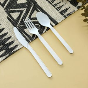 一次性勺子和叉子服务餐具吸管勺子塑料