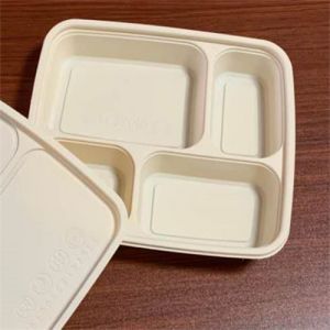 批发甘蔗食品托盘一次性Pp塑料500毫升美式方盒午餐盒