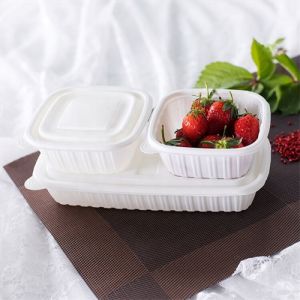 环保储存容器食品可降解饭盒环保包装
