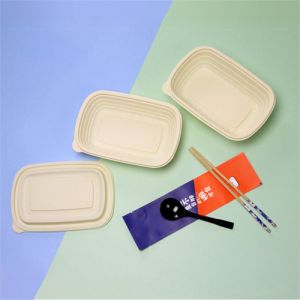 玉米淀粉基可生物降解餐具中国准备饭盒5格饭盒一次性
