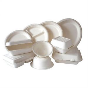 白色一次性塑料婚礼餐盘10英寸见方