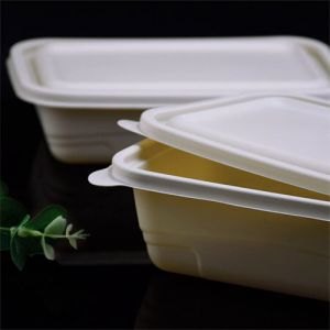 食品服务容器甘蔗渣包装高档一次性餐具