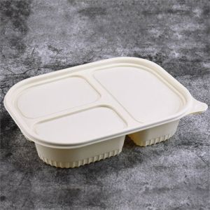 带盖的塑料食物容器环保一次性餐盘