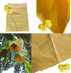 香蕉绝缘芒果生长保护袋蜡涂层纸袋覆盖水果万博手机版客户端下载